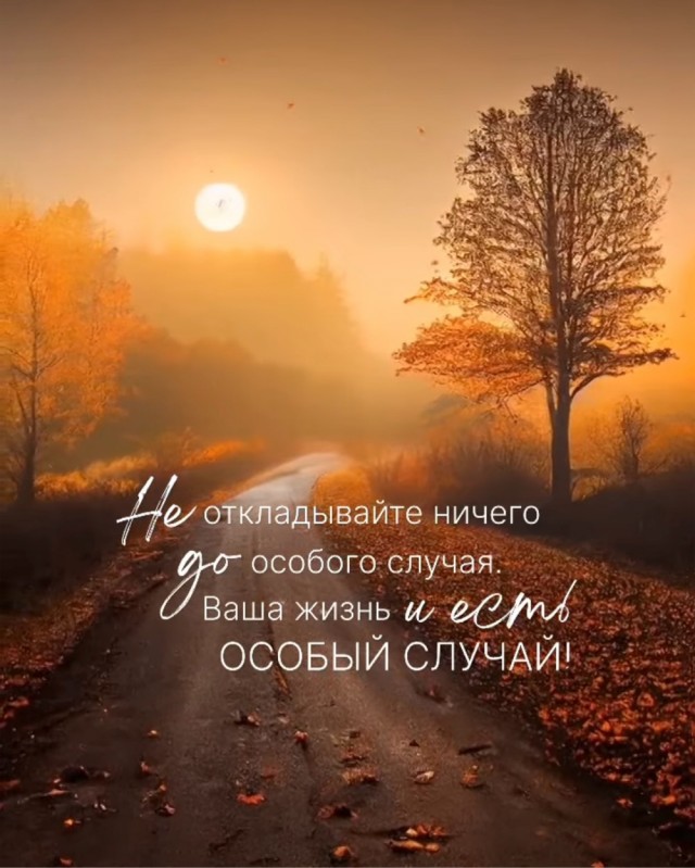 Прикольные и просто красивые картинки 11.10.2024