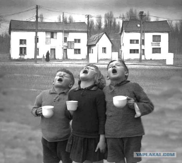 Нуштош 31.10.2024