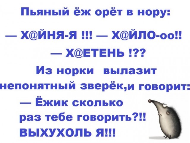 Выхухоль стремительно покидает Рязанскую область.