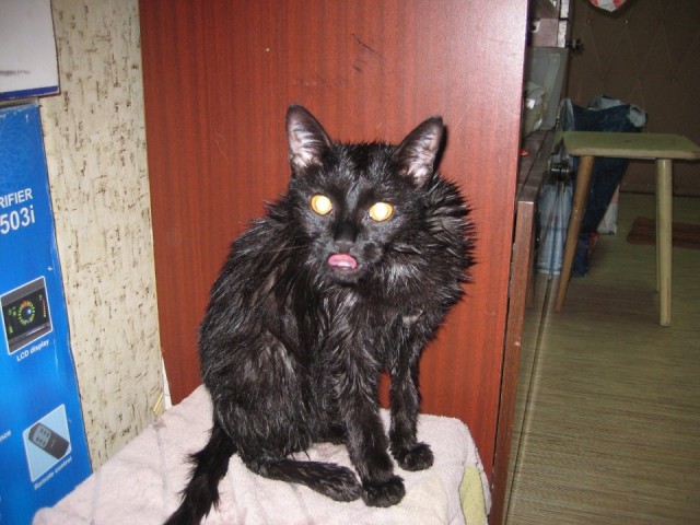 Беги, Наташа