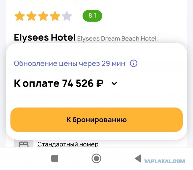 Борьба с паксами в Шереметьево
