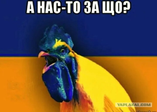 Прилетит вертолёт, дедушку заберут, и деньги отдадим!