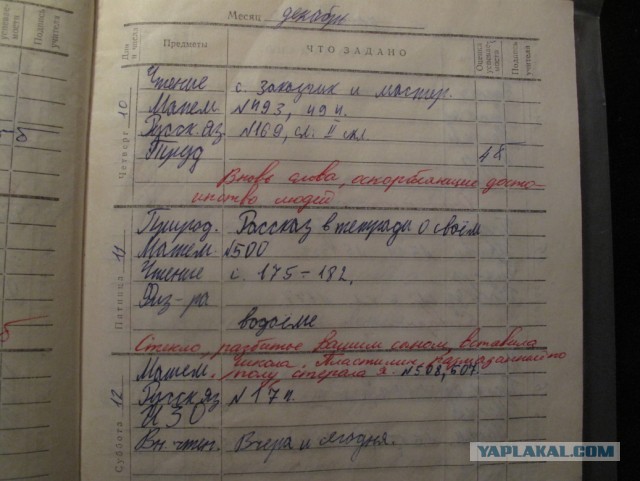 Забавные школьные дневники