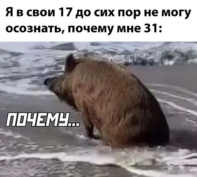 Картинки разные с надписями и без