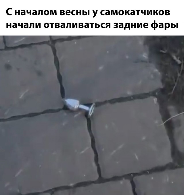 Весёлый полтишок 18.03.2025