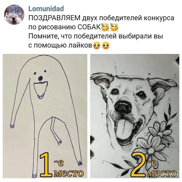 Завалялось тут случайно немного забавных картинок
