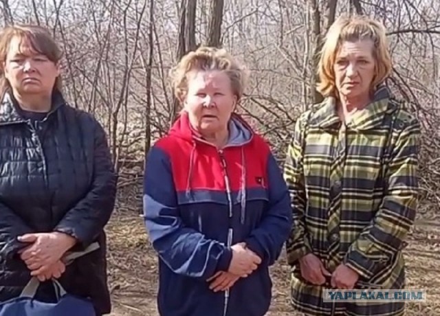 Подборка анекдотов о Догхантерах, Зоошизах и бродячих собаках.