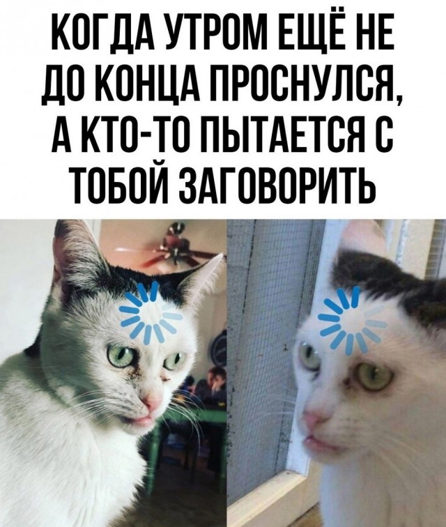 Еб**ины