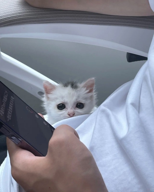 Чё там сегодня по ЯПу?