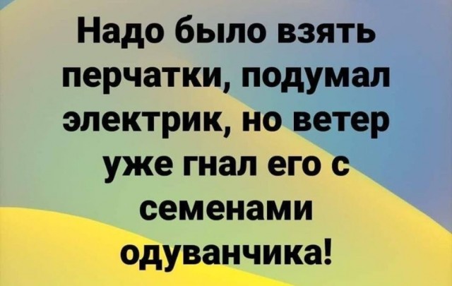 Главное при работе с электричеством - спокойный и надежный напарник!