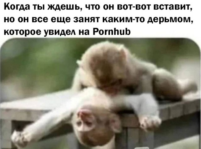 Немного мемчиков. Для взрослых. Часть 37