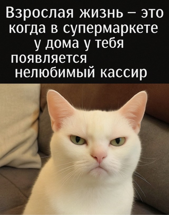 Картинки для деградации 54 (разной степени свежести)