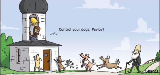 Небаянистая эволюция