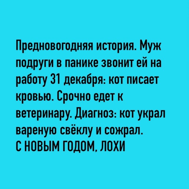 Так себе картинки 31.12.25