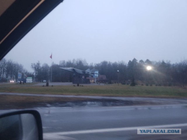 Жизнь домашнего приюта для котеек 568