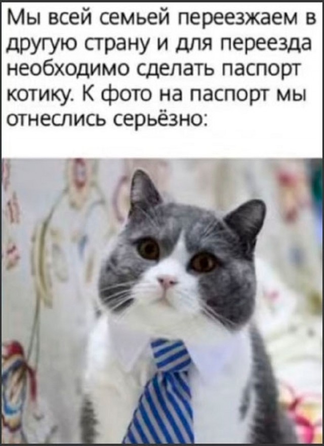 Так себе картинки 25.01.26