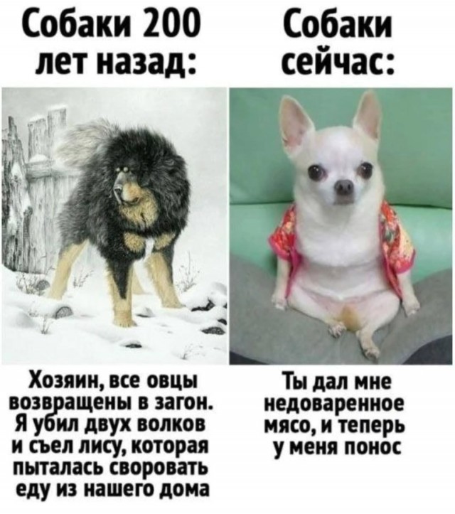 Картинки для деградации 128 (разной степени свежести)