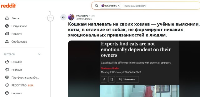 Кошкам наплевать на своих хозяев