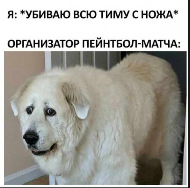 Немного чёрного юмора