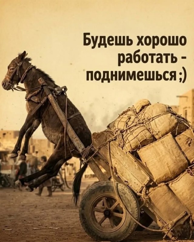 Картинки для деградации 194 (разной степени свежести)