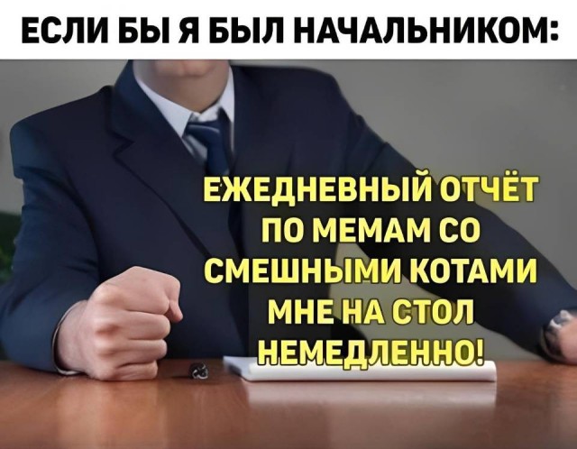 Картиночки, баянчики 29 июня