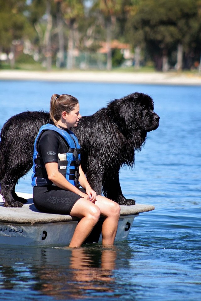Поразительная наблюдательность спасателя: он заметил тонущего ребенка, окруженного людьми⁠⁠