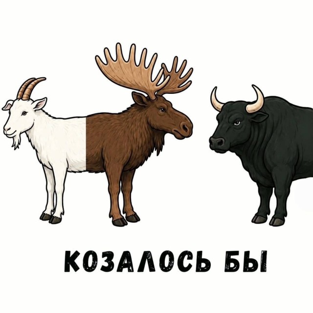 Контент для невзыскательной аудитории
