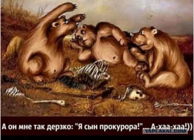 Мужчина погиб после нападения медведя в Бурятии