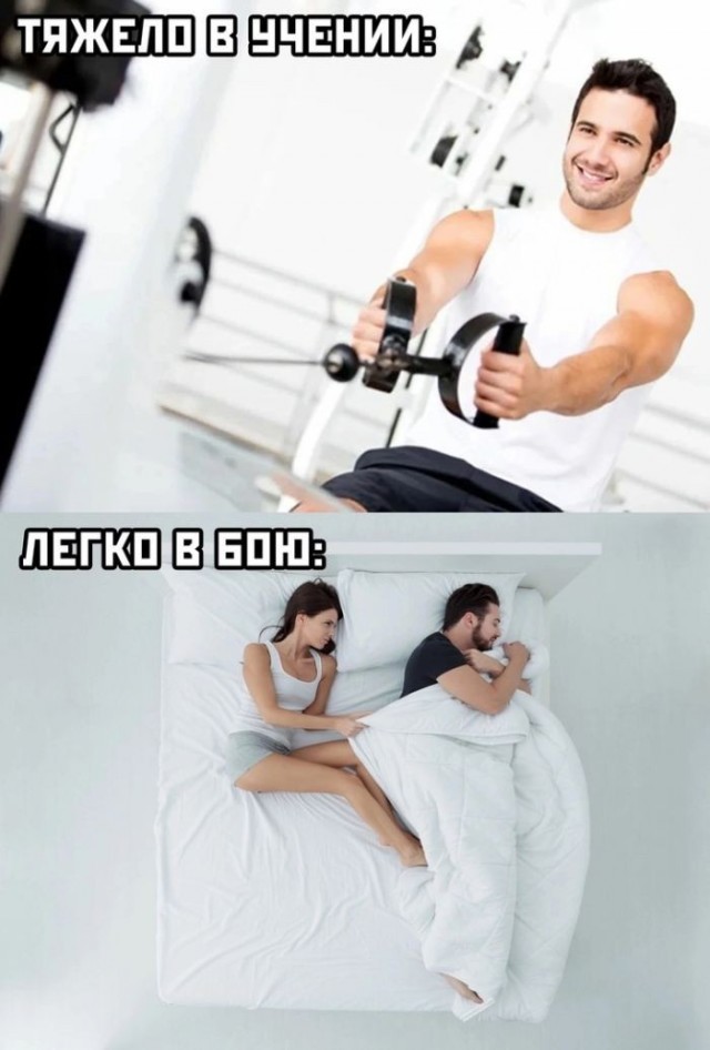 Картинки для деградации 282 (разной степени свежести)
