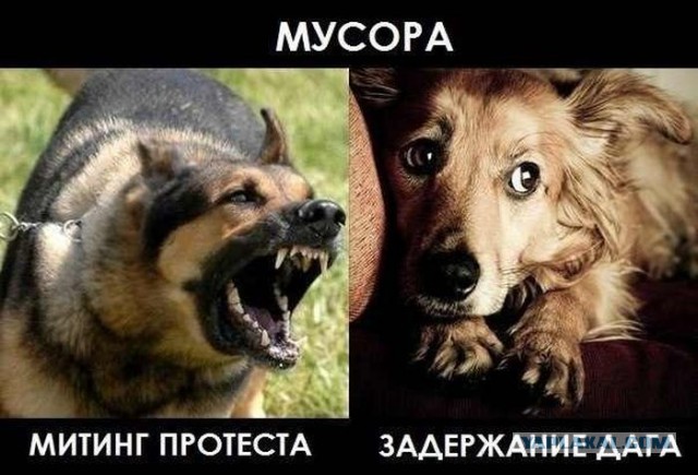 кавказец кроет матом