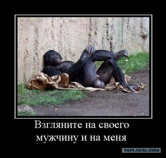 К кому уходят жены?