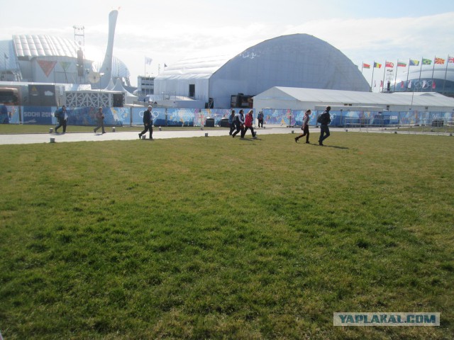 Как я ездил на кёрлинг