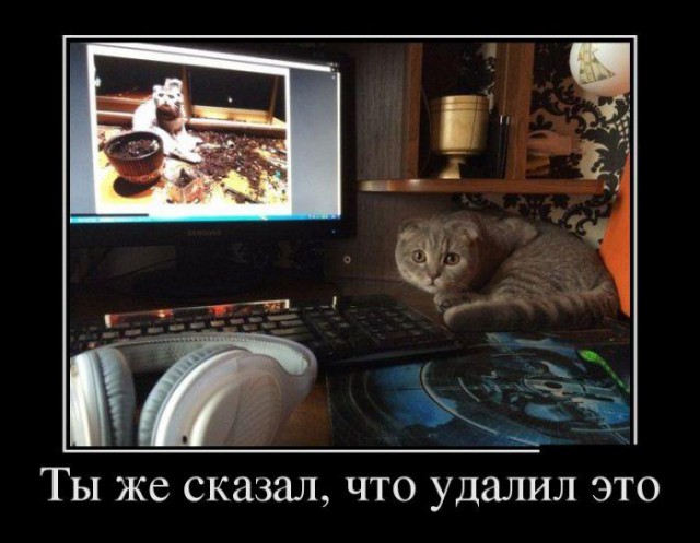 Пятничнык картинки