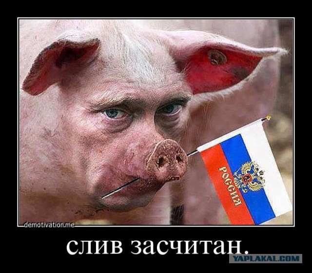 Референдум 11 мая!
