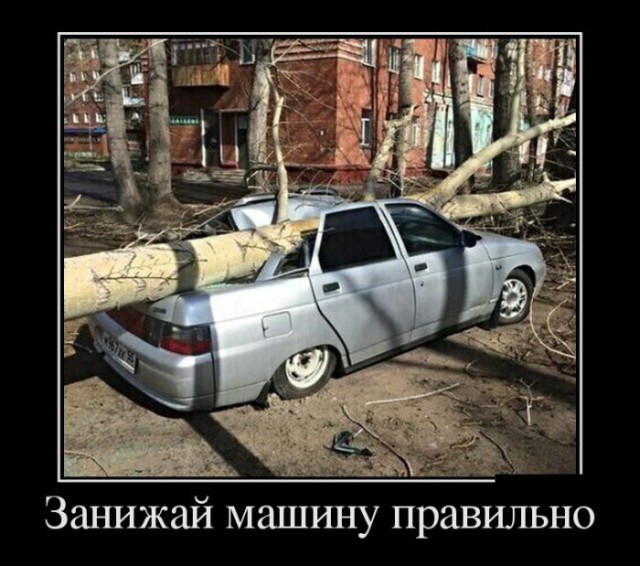 Смешные картинки с подписями 2