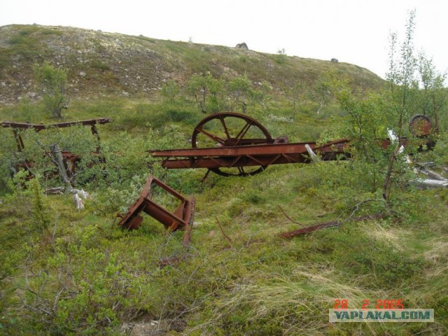 Отчет Банды маргиналов или трэш на Северах