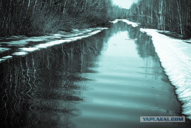 Припять. Смотреть, нельзя трогать - 2