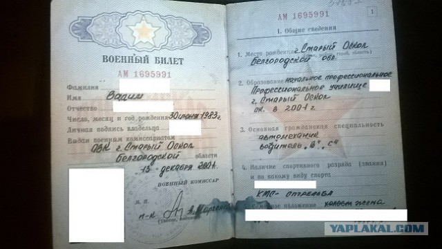 Укроп на проводах - в прямом смысле