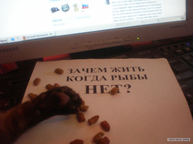Если рыбы нет!