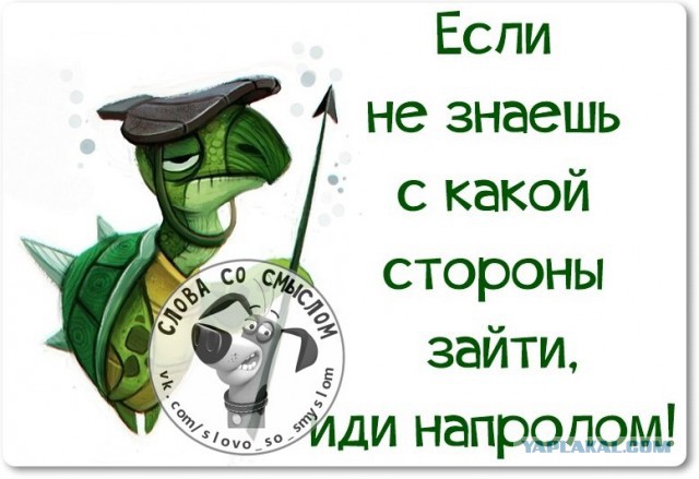 Веселые жизненные наблюдения из Вредного журнала
