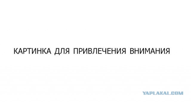 Норм логотип? Или гавно?
