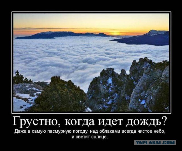 Прикольные картинки из сети