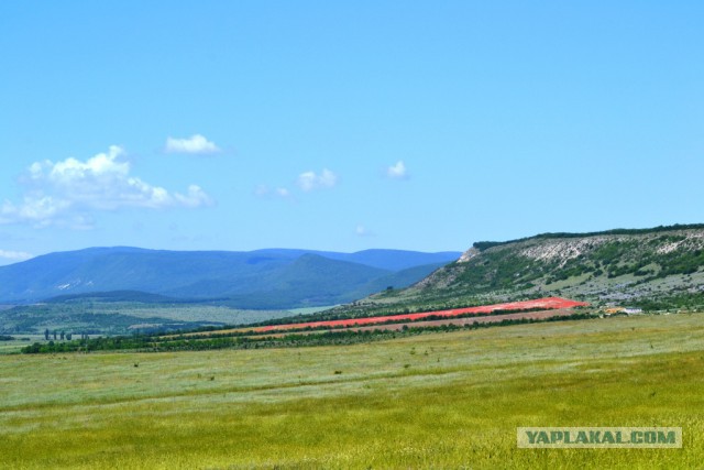 Х-Крым 15