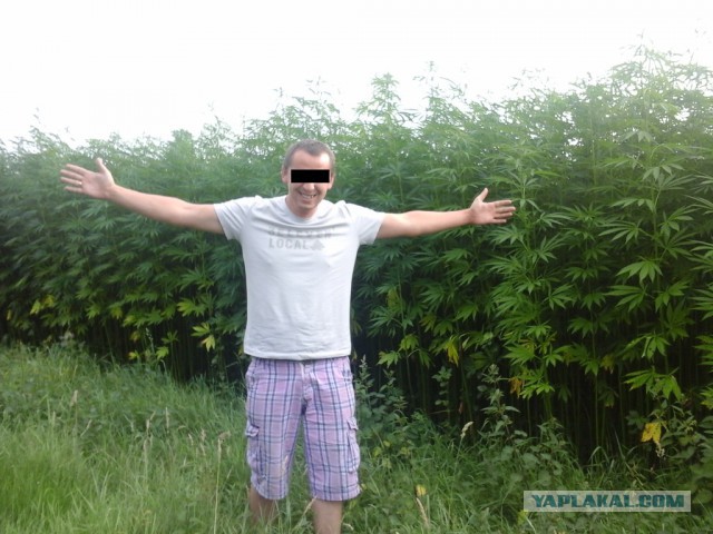 4 часа в Амстердаме