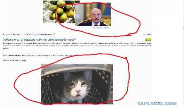 Где, где...