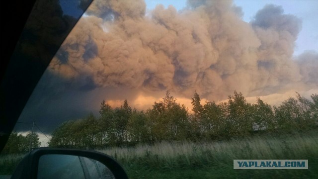 Питер. Пожар в районе Парнаса