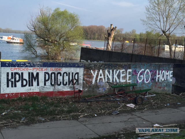 Югославский рецепт  18+