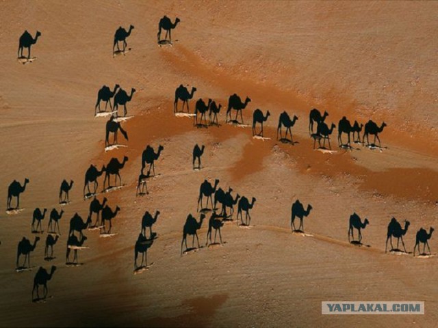 Всем нашим встречам,  увы, разлуки суждены...