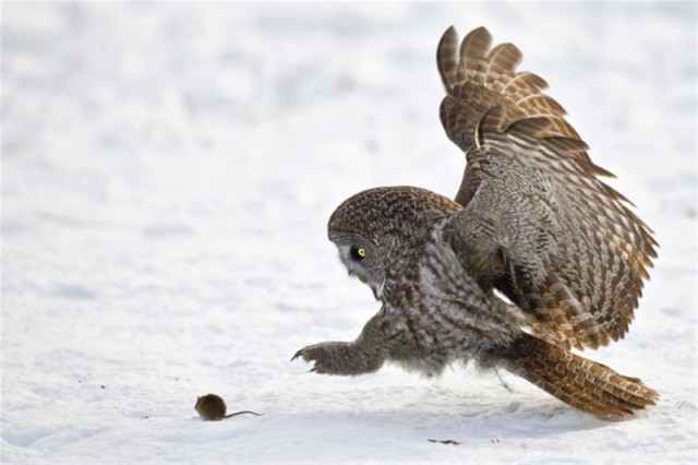 Подборка интересных и веселых картинок