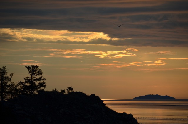 Интересные и веселые картинки